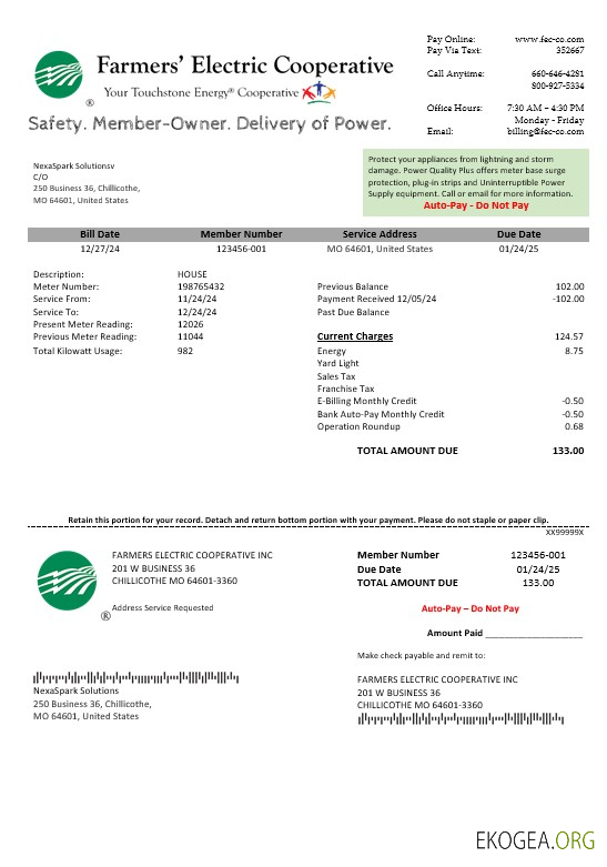 Modèle de facture de services publics pour l'entreprise USA Ohio Farmer's Electric Cooperative aux formats Word et PDF